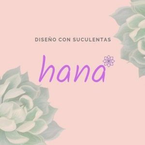 Hana Diseño con Suculentas