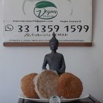 Sustituo de carne para hamburguesa vegana