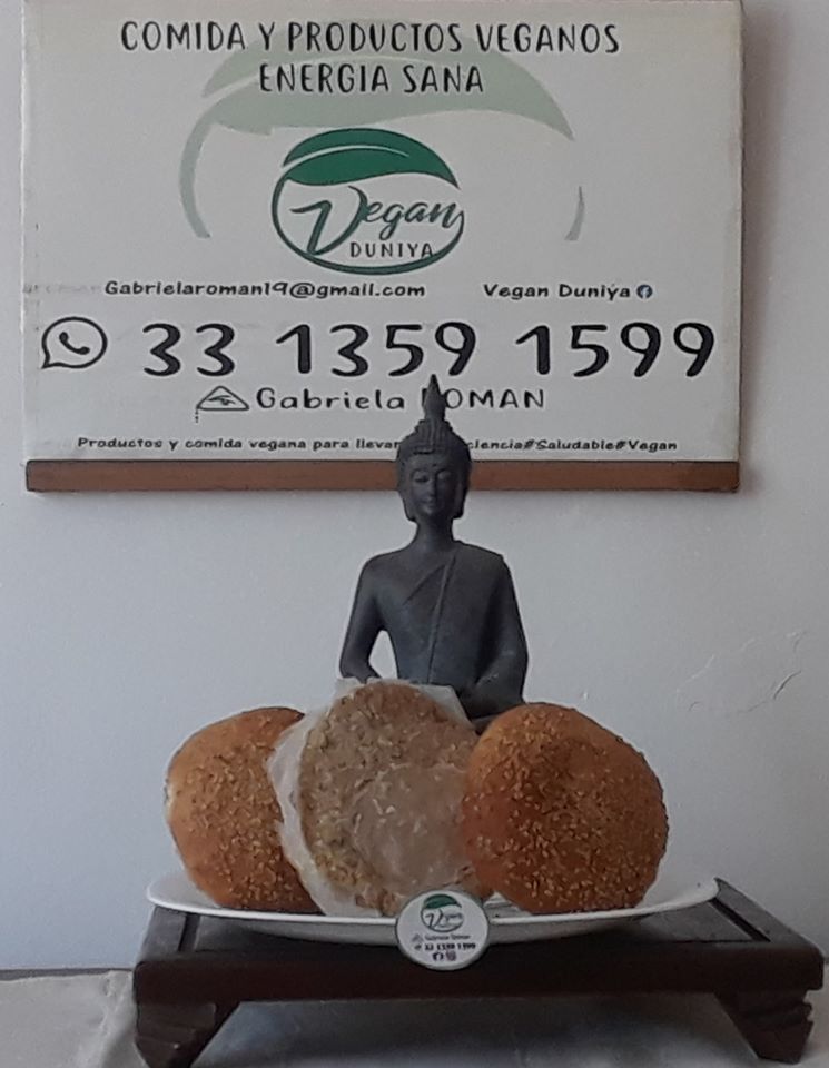 Sustituo de carne para hamburguesa vegana