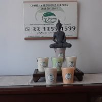 vegan-duniya-yogurt-vegano