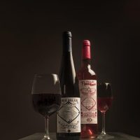 vinos-artesanales-frutales-1